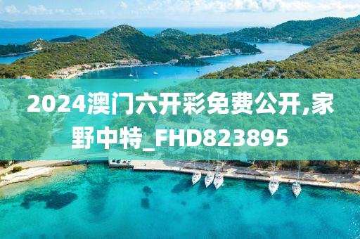 2024澳门六开彩免费公开,家野中特_FHD823895