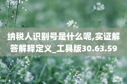 纳税人识别号是什么呢,实证解答解释定义_工具版30.63.59