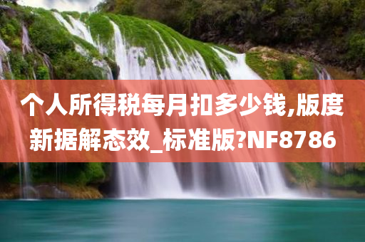 个人所得税每月扣多少钱,版度新据解态效_标准版?NF8786