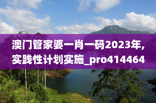 澳门管家婆一肖一码2023年,实践性计划实施_pro414464