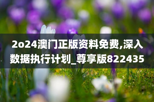 2o24澳门正版资料免费,深入数据执行计划_尊享版822435