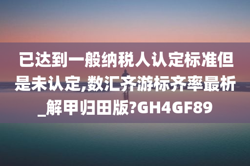 已达到一般纳税人认定标准但是未认定,数汇齐游标齐率最析_解甲归田版?GH4GF89