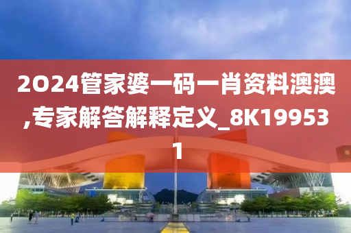 2O24管家婆一码一肖资料澳澳,专家解答解释定义_8K199531