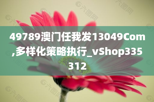 49789澳门任我发13049Com,多样化策略执行_vShop335312