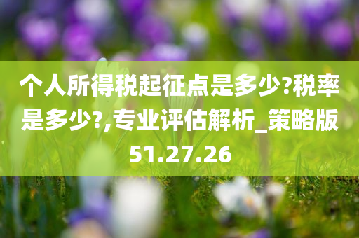 个人所得税起征点是多少?税率是多少?,专业评估解析_策略版51.27.26