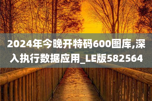 2024年今晚开特码600图库,深入执行数据应用_LE版582564