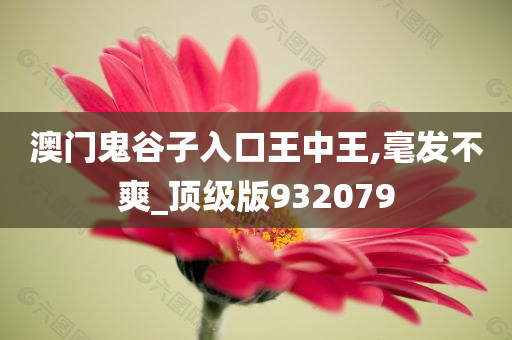 澳门鬼谷子入口王中王,毫发不爽_顶级版932079