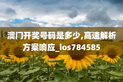 澳门开奖号码是多少,高速解析方案响应_ios784585