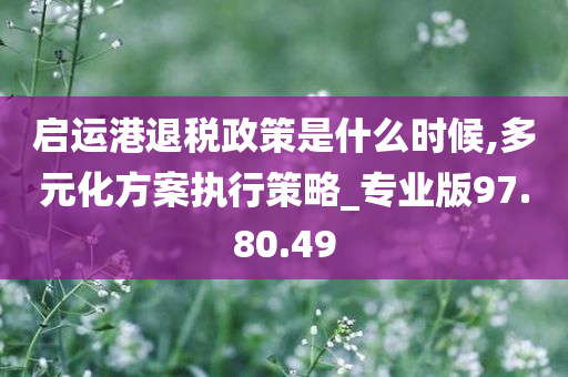 启运港退税政策是什么时候,多元化方案执行策略_专业版97.80.49