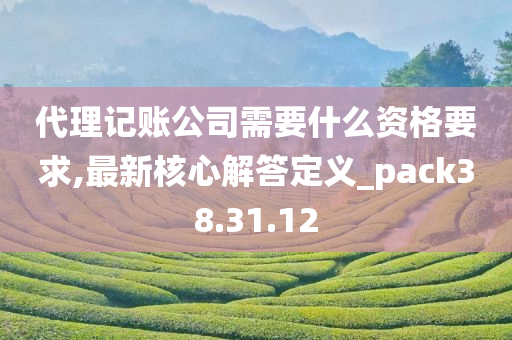 代理记账公司需要什么资格要求,最新核心解答定义_pack38.31.12