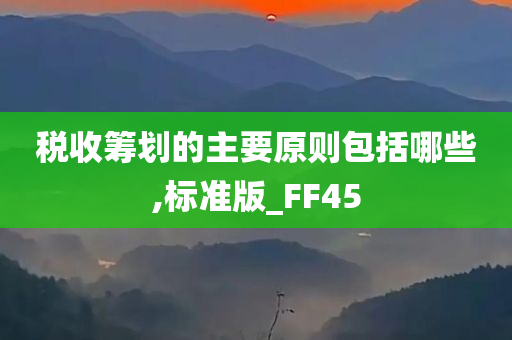 税收筹划的主要原则包括哪些,标准版_FF45