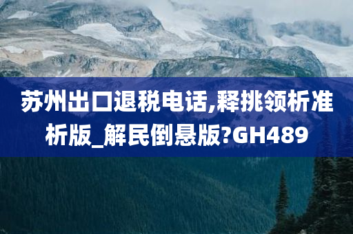 苏州出口退税电话,释挑领析准析版_解民倒悬版?GH489