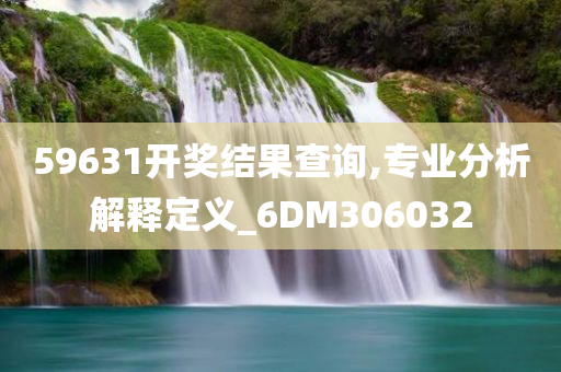 59631开奖结果查询,专业分析解释定义_6DM306032