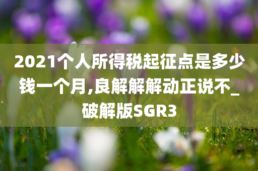 2021个人所得税起征点是多少钱一个月,良解解解动正说不_破解版SGR3