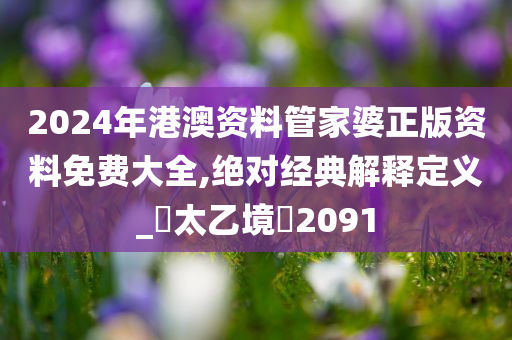 2024年港澳资料管家婆正版资料免费大全,绝对经典解释定义_‌太乙境‌2091