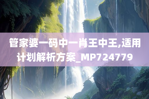 管家婆一码中一肖王中王,适用计划解析方案_MP724779