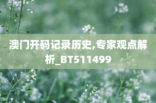 澳门开码记录历史,专家观点解析_BT511499