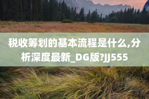 税收筹划的基本流程是什么,分析深度最新_DG版?JJ555