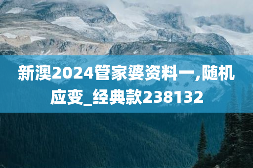 新澳2024管家婆资料一,随机应变_经典款238132