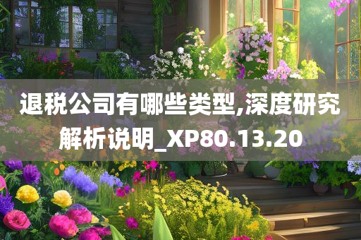 退税公司有哪些类型,深度研究解析说明_XP80.13.20