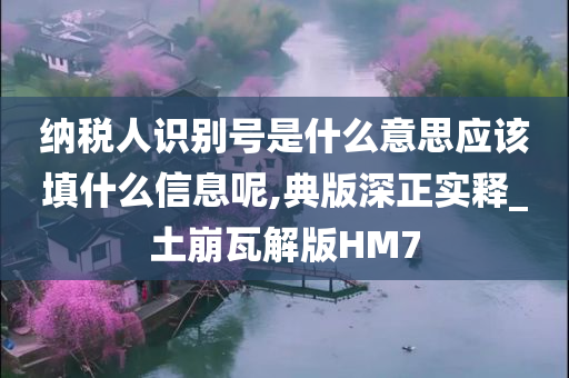 纳税人识别号是什么意思应该填什么信息呢,典版深正实释_土崩瓦解版HM7