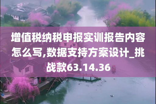 增值税纳税申报实训报告内容怎么写,数据支持方案设计_挑战款63.14.36