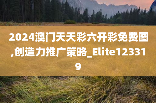 2024澳门天天彩六开彩免费图,创造力推广策略_Elite123319