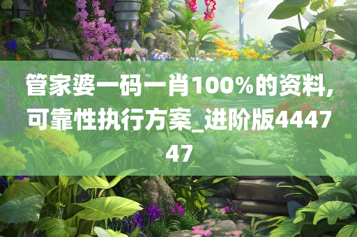 管家婆一码一肖100%的资料,可靠性执行方案_进阶版444747