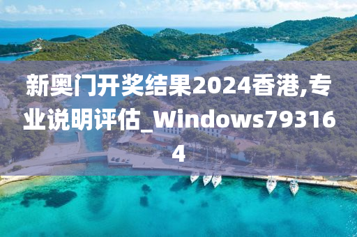 新奥门开奖结果2024香港,专业说明评估_Windows793164