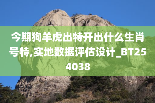 今期狗羊虎出特开出什么生肖号特,实地数据评估设计_BT254038