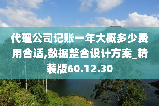 代理公司记账一年大概多少费用合适,数据整合设计方案_精装版60.12.30