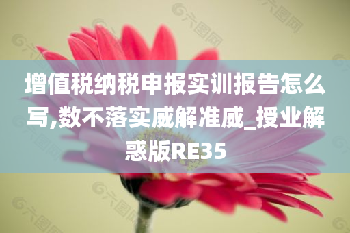 增值税纳税申报实训报告怎么写,数不落实威解准威_授业解惑版RE35