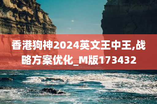 香港狗神2024英文王中王,战略方案优化_M版173432