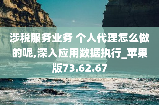 涉税服务业务 个人代理怎么做的呢,深入应用数据执行_苹果版73.62.67