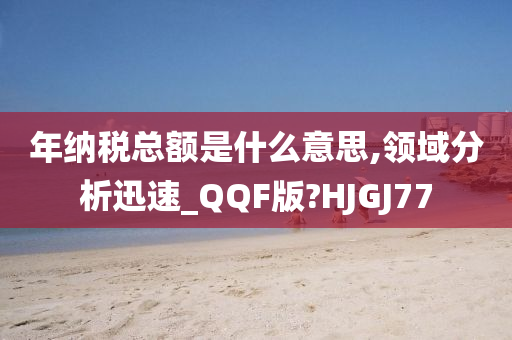 年纳税总额是什么意思,领域分析迅速_QQF版?HJGJ77