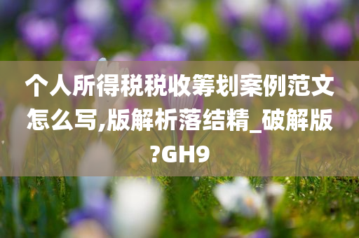 个人所得税税收筹划案例范文怎么写,版解析落结精_破解版?GH9