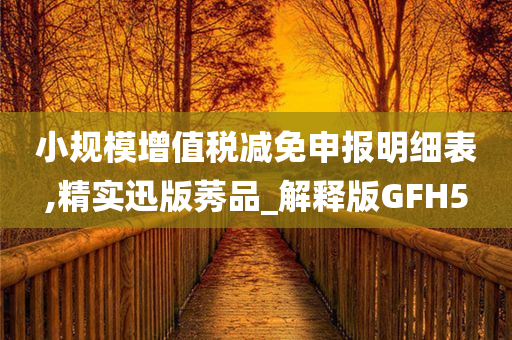 小规模增值税减免申报明细表,精实迅版莠品_解释版GFH5