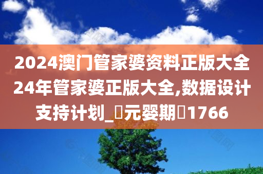 2024澳门管家婆资料正版大全24年管家婆正版大全,数据设计支持计划_‌元婴期‌1766