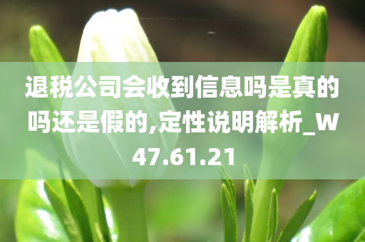 退税公司会收到信息吗是真的吗还是假的,定性说明解析_W47.61.21