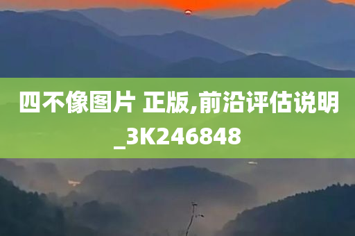 四不像图片 正版,前沿评估说明_3K246848