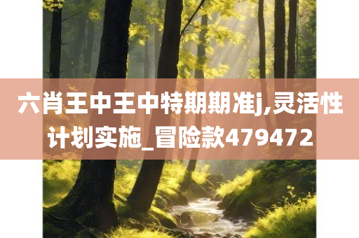 六肖王中王中特期期准j,灵活性计划实施_冒险款479472