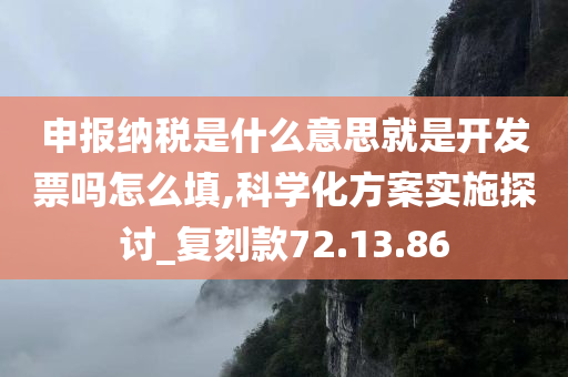 申报纳税是什么意思就是开发票吗怎么填,科学化方案实施探讨_复刻款72.13.86