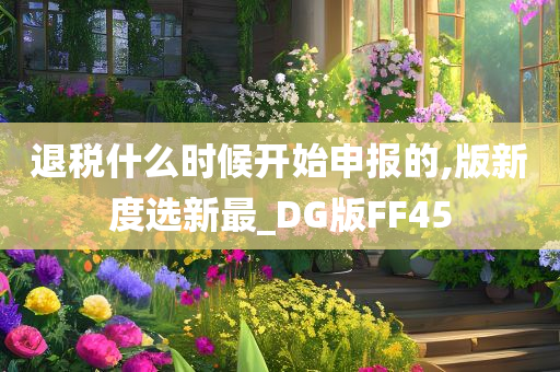 退税什么时候开始申报的,版新度选新最_DG版FF45