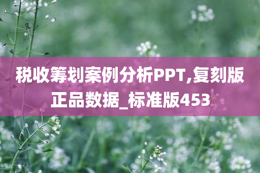 税收筹划案例分析PPT,复刻版正品数据_标准版453