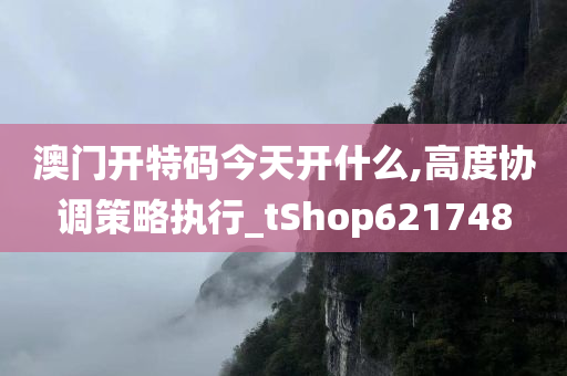 澳门开特码今天开什么,高度协调策略执行_tShop621748