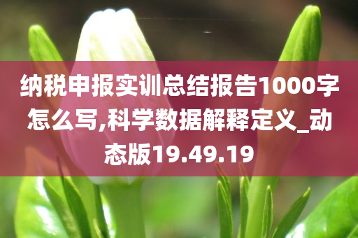 纳税申报实训总结报告1000字怎么写,科学数据解释定义_动态版19.49.19