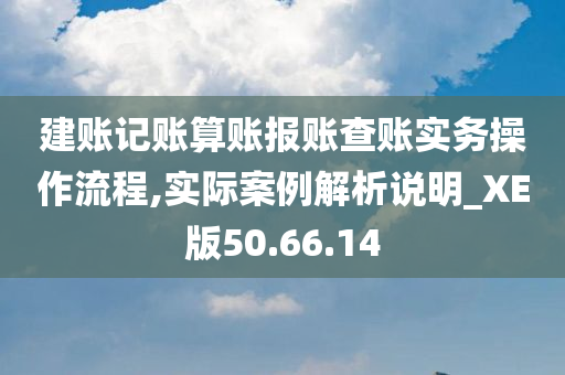 建账记账算账报账查账实务操作流程,实际案例解析说明_XE版50.66.14