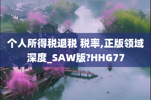 个人所得税退税 税率,正版领域深度_SAW版?HHG77