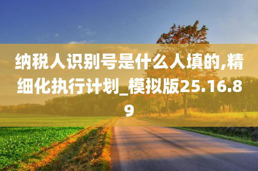 纳税人识别号是什么人填的,精细化执行计划_模拟版25.16.89