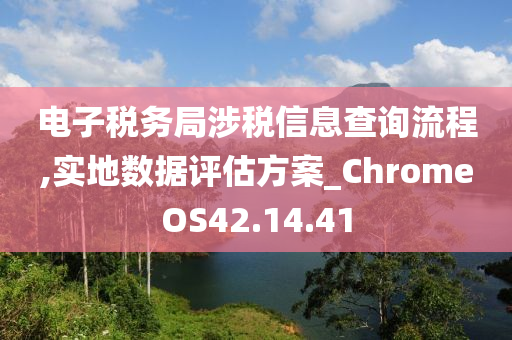 电子税务局涉税信息查询流程,实地数据评估方案_ChromeOS42.14.41